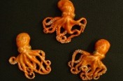 Tiny Octopi Pins