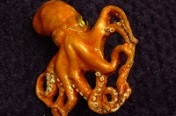 Tiny Octopus 1